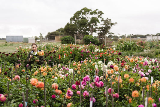 Autumn in the Cutting Garden - Jobs List