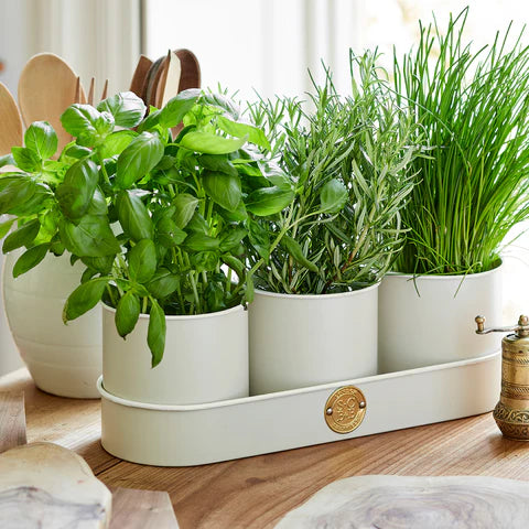 Garden Supplies