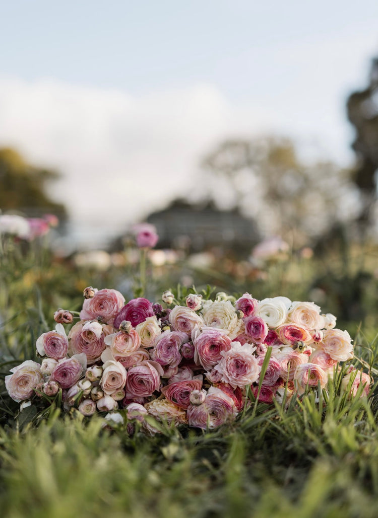 Sympathy Flowers