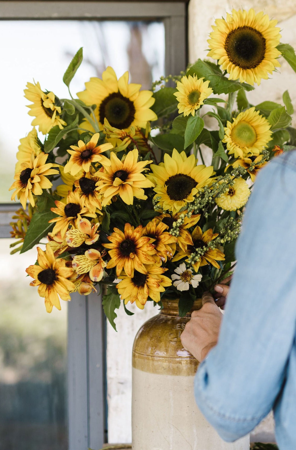 Sunflower Collection