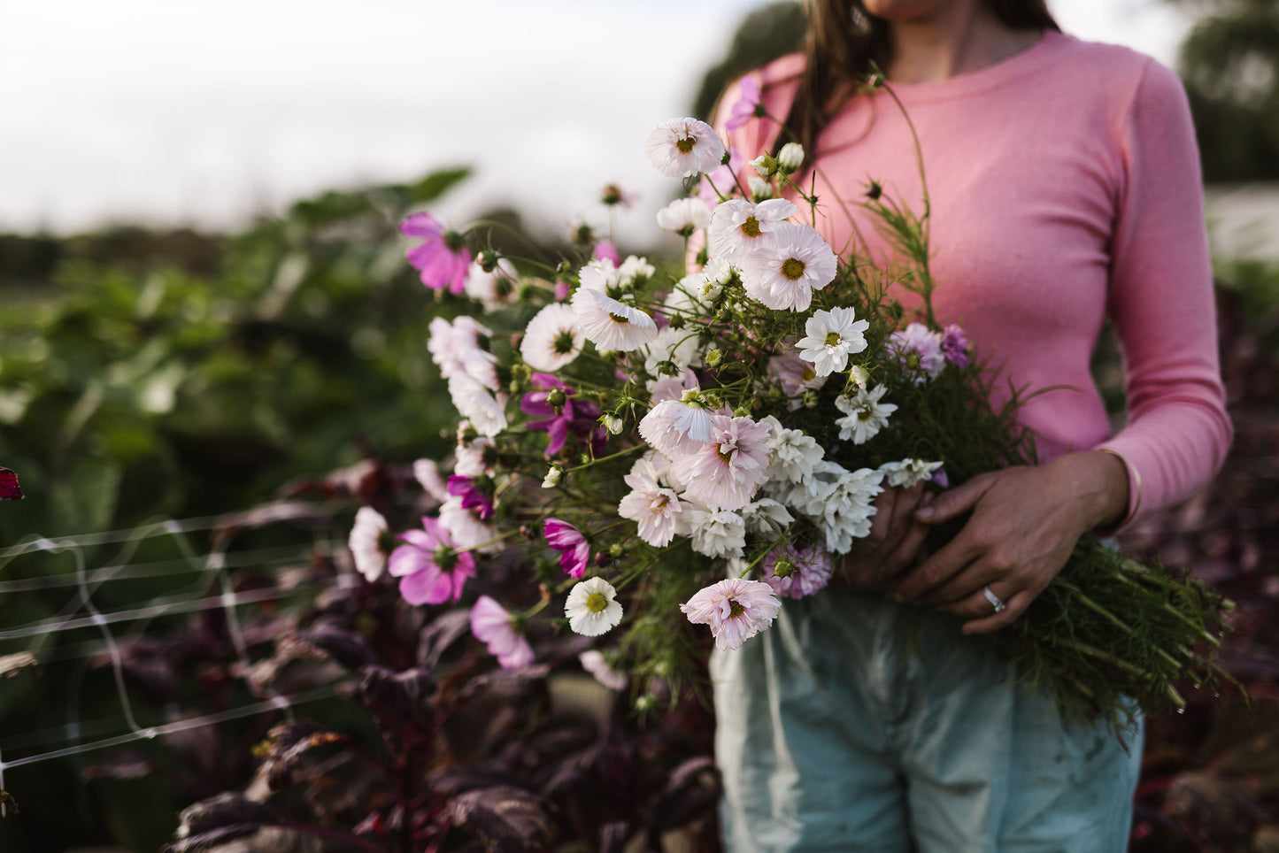Grow your Own Cut Flowers 2 Day Workshop