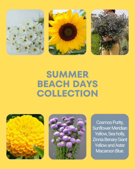 Summer Beach Days Seed Collection