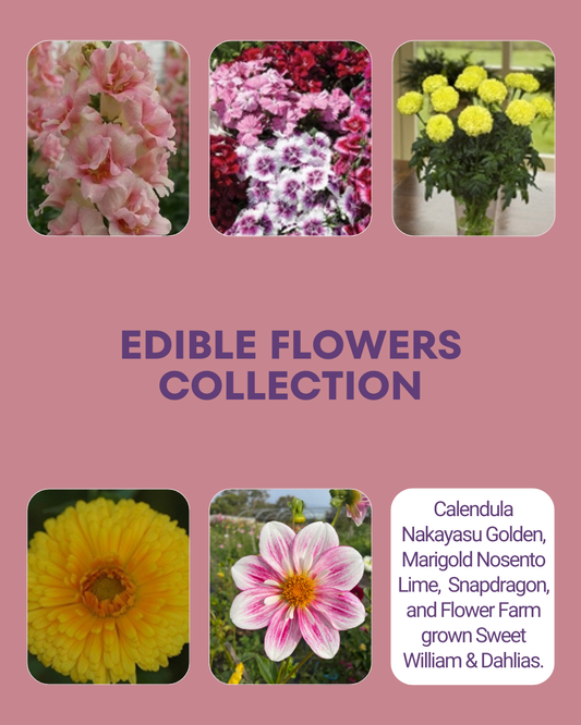 Summer Edible Flowers Collection