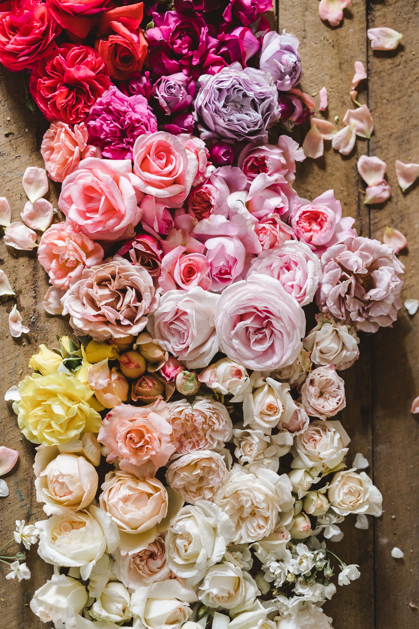 International Rural Women's Day - Lunch, Wine and Flowers at Padthaway Estate - 26 October 2025