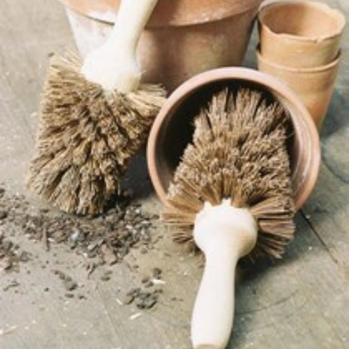 Pot Brush