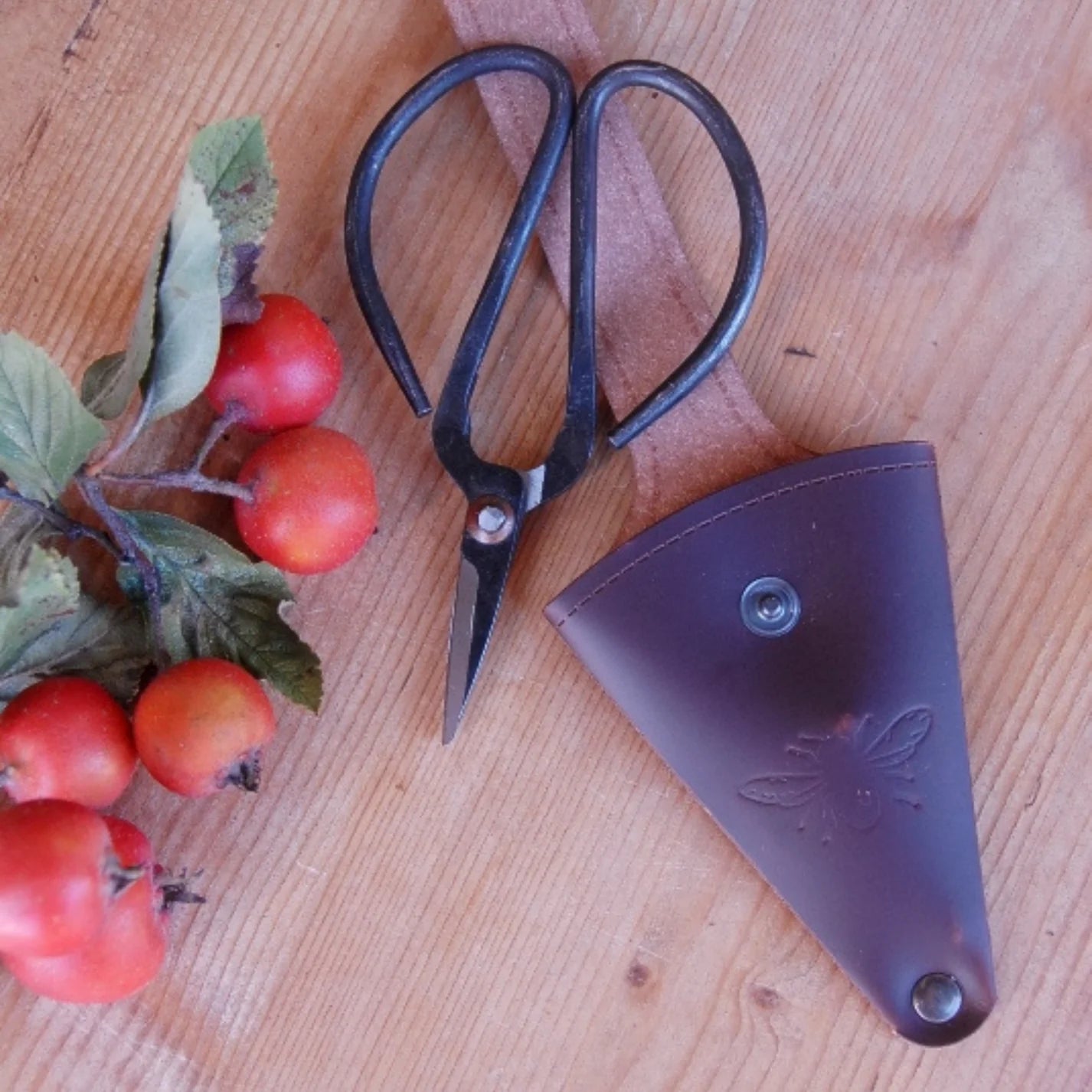 Scissors in Leather Pouch