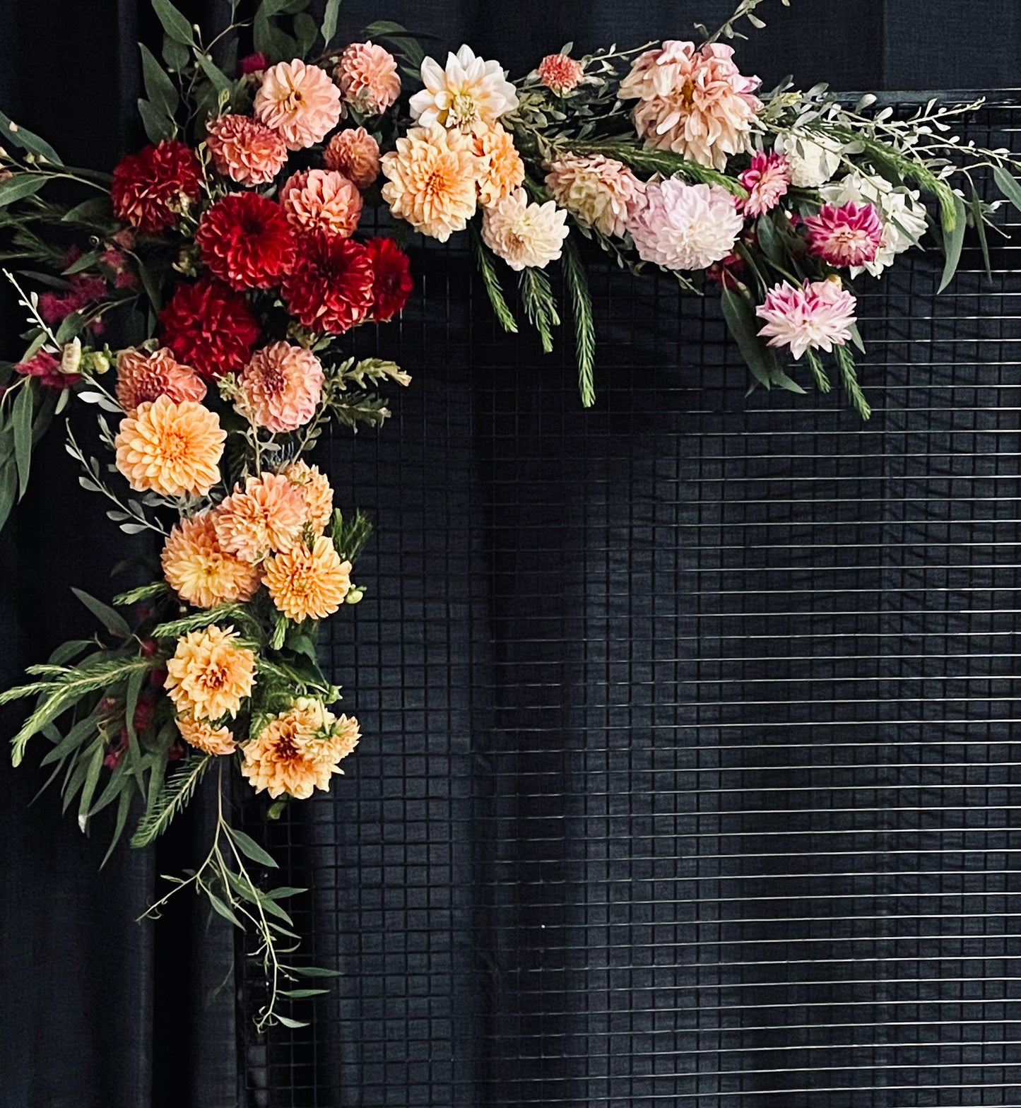 Dahlia Mixed Seeds From the Flower Farm