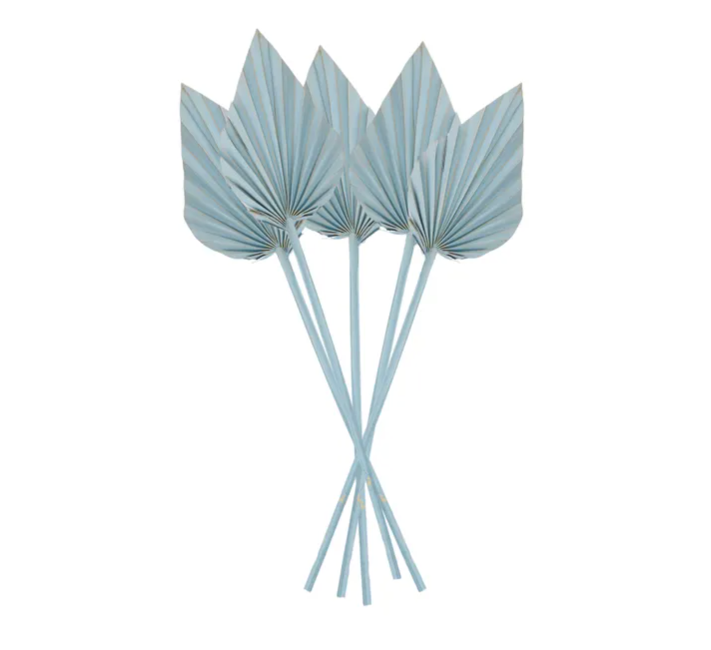 Spade Palm Dried 5 Pieces - Light Blue