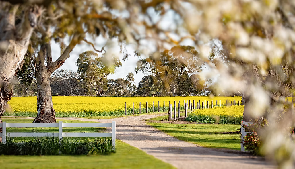 Wreaths and Bubbles at Padthaway Estate - Thursday 18 December