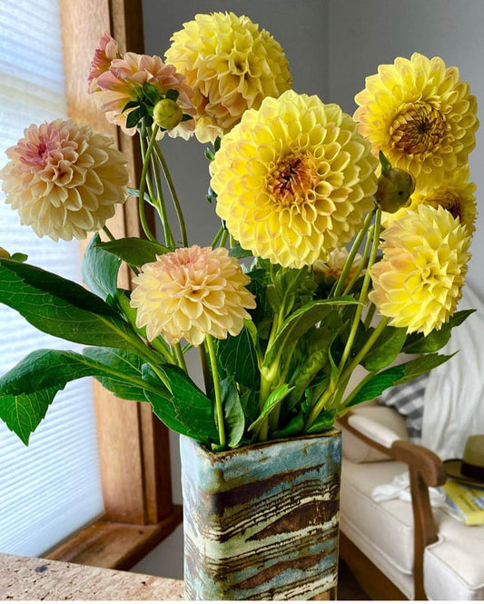 Dahlia Seed - Florelie Toffee