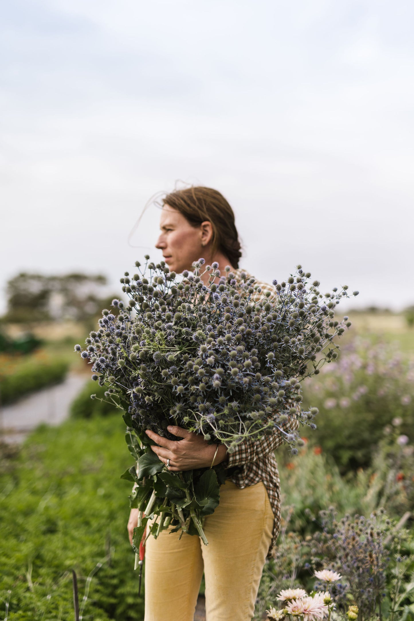 Autumn Planting Seed Collection