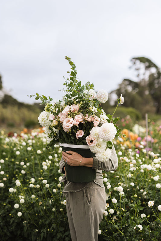 Cut Flower Garden - Event at Barrow and Bench, Unley - 8th November