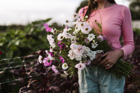 Grow your Own Cut Flowers - Weekend workshop