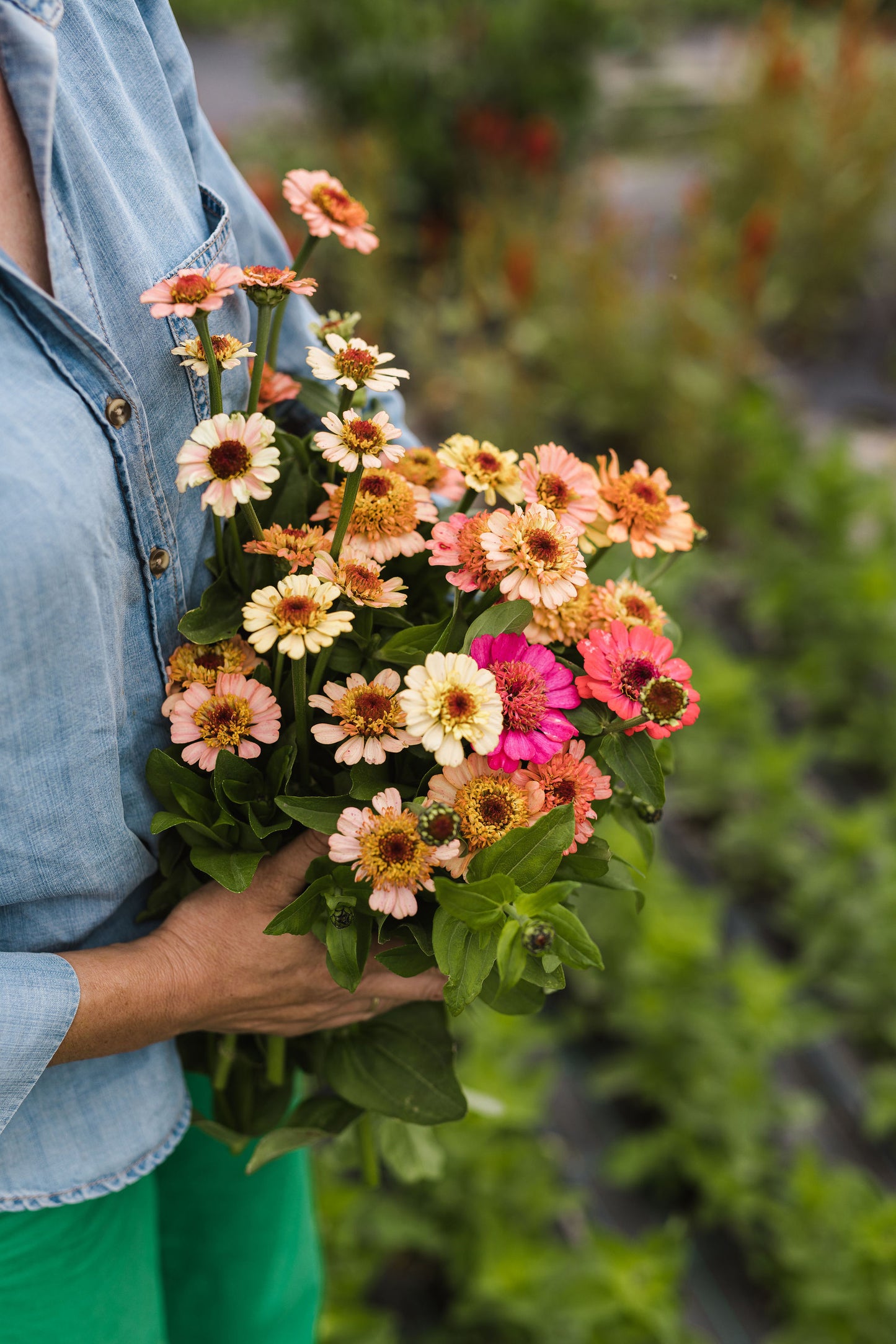 Grow your Own Cut Flowers 2 Part Workshop