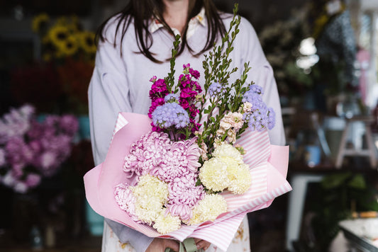 Heirloom Chrysanthemum - Cosmo Pink - Rooted Cutting