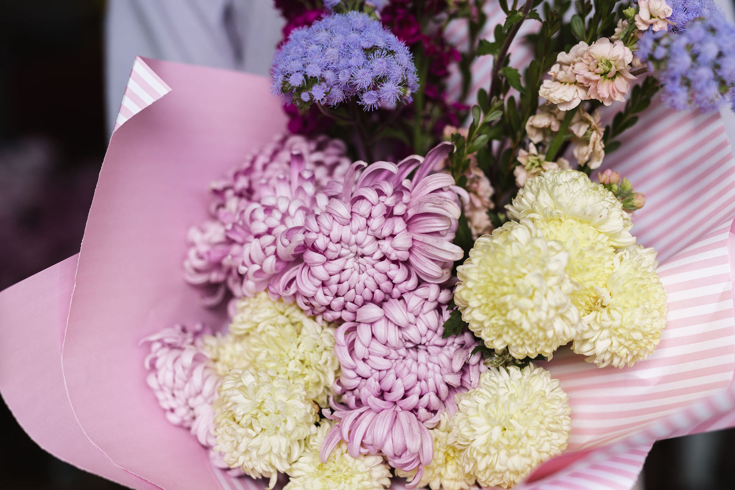 Heirloom Chrysanthemum - Bright Lemon