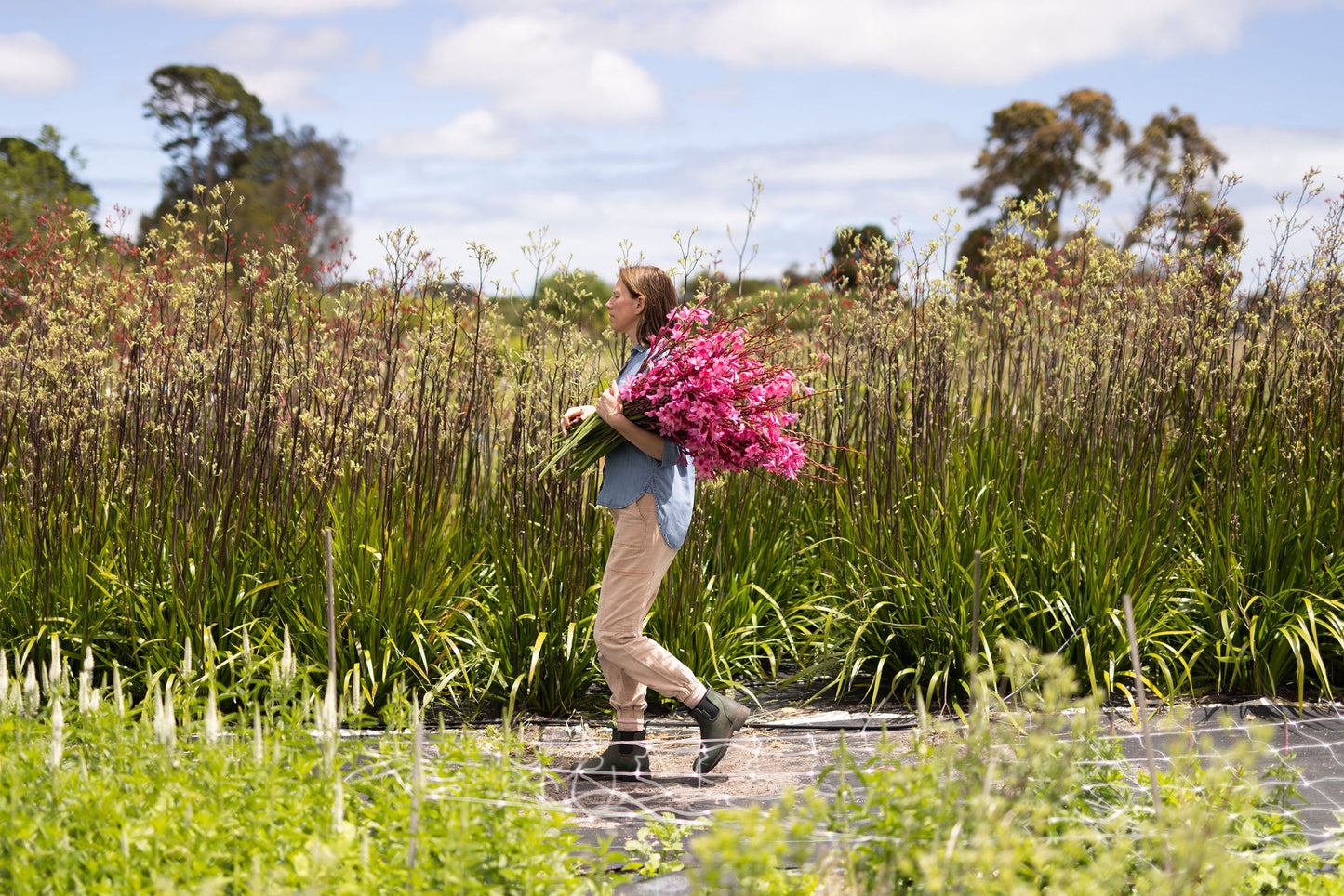 Grow your Own Cut Flowers - Weekend workshop