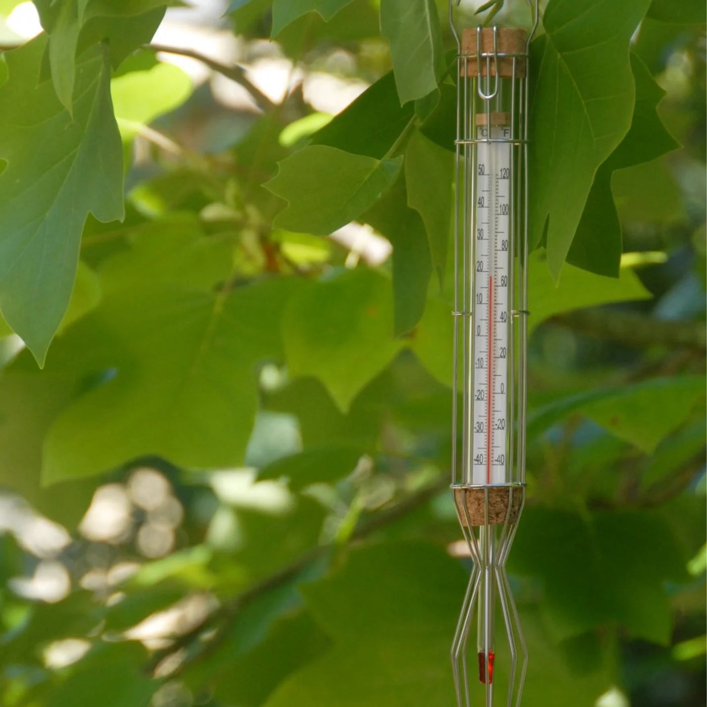 Cage Thermometer