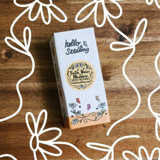 Hello Seedling Seedbomb - Meadow