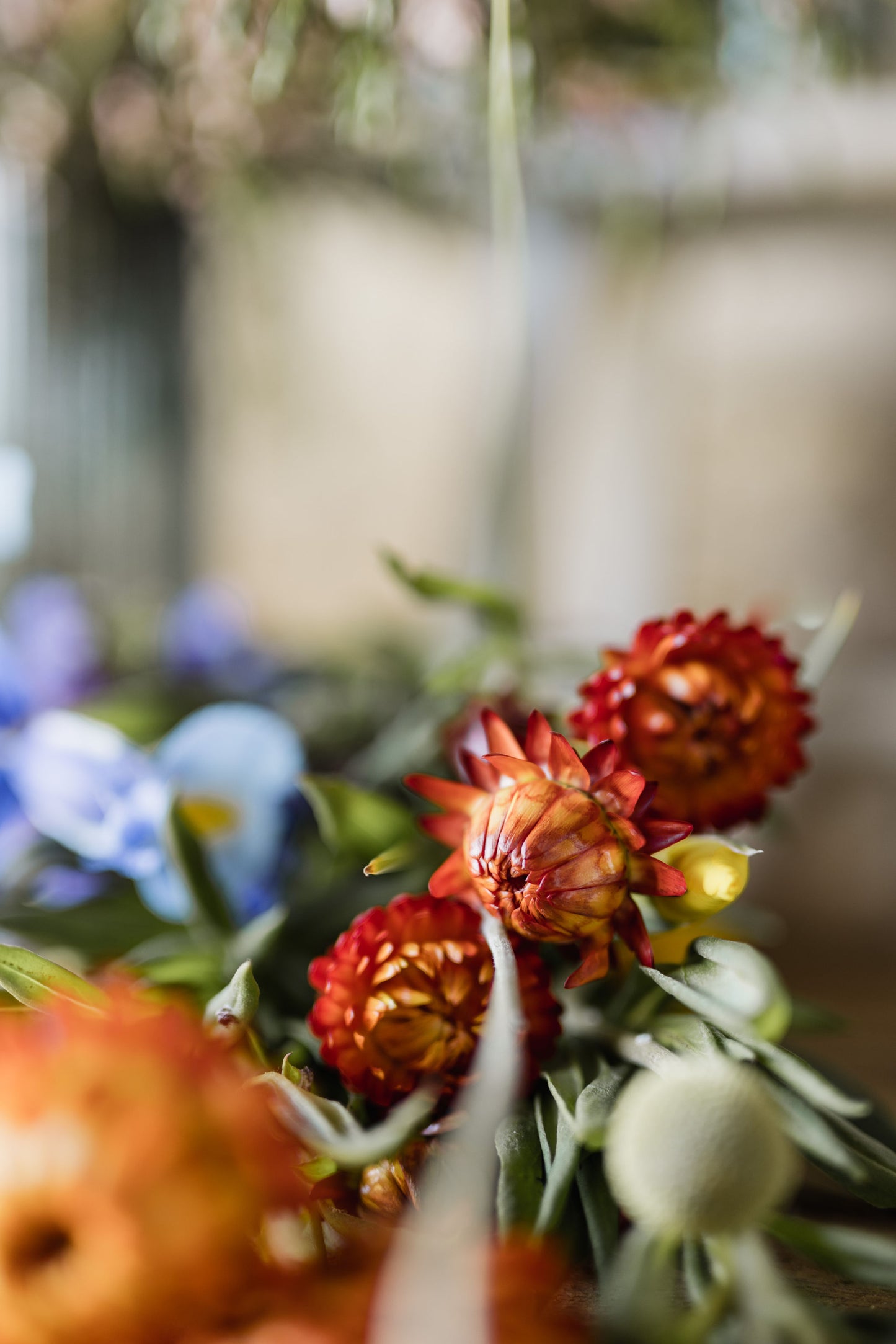 Winter Planting Seed Collection