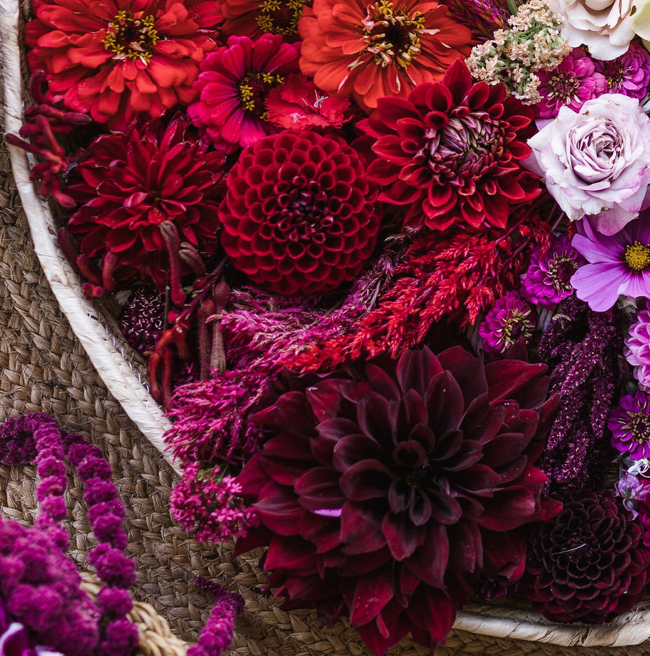 Robe & Kingston SE Florist Delivery Available Starling Flowers