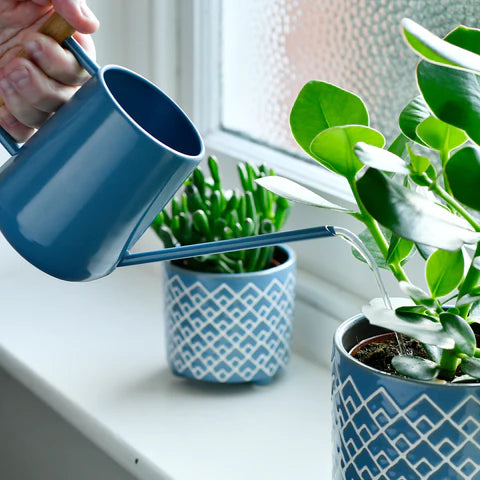 Indoor Watering Can