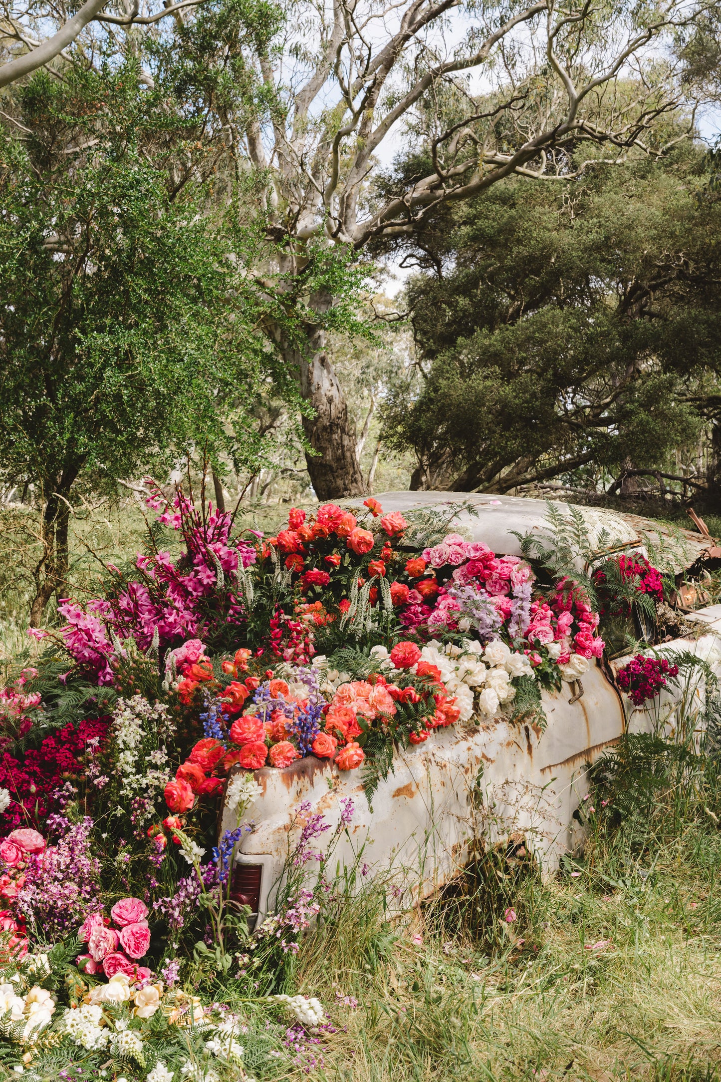 Spring Flowers - Barrow and Bench, Unley - Friday 14th November