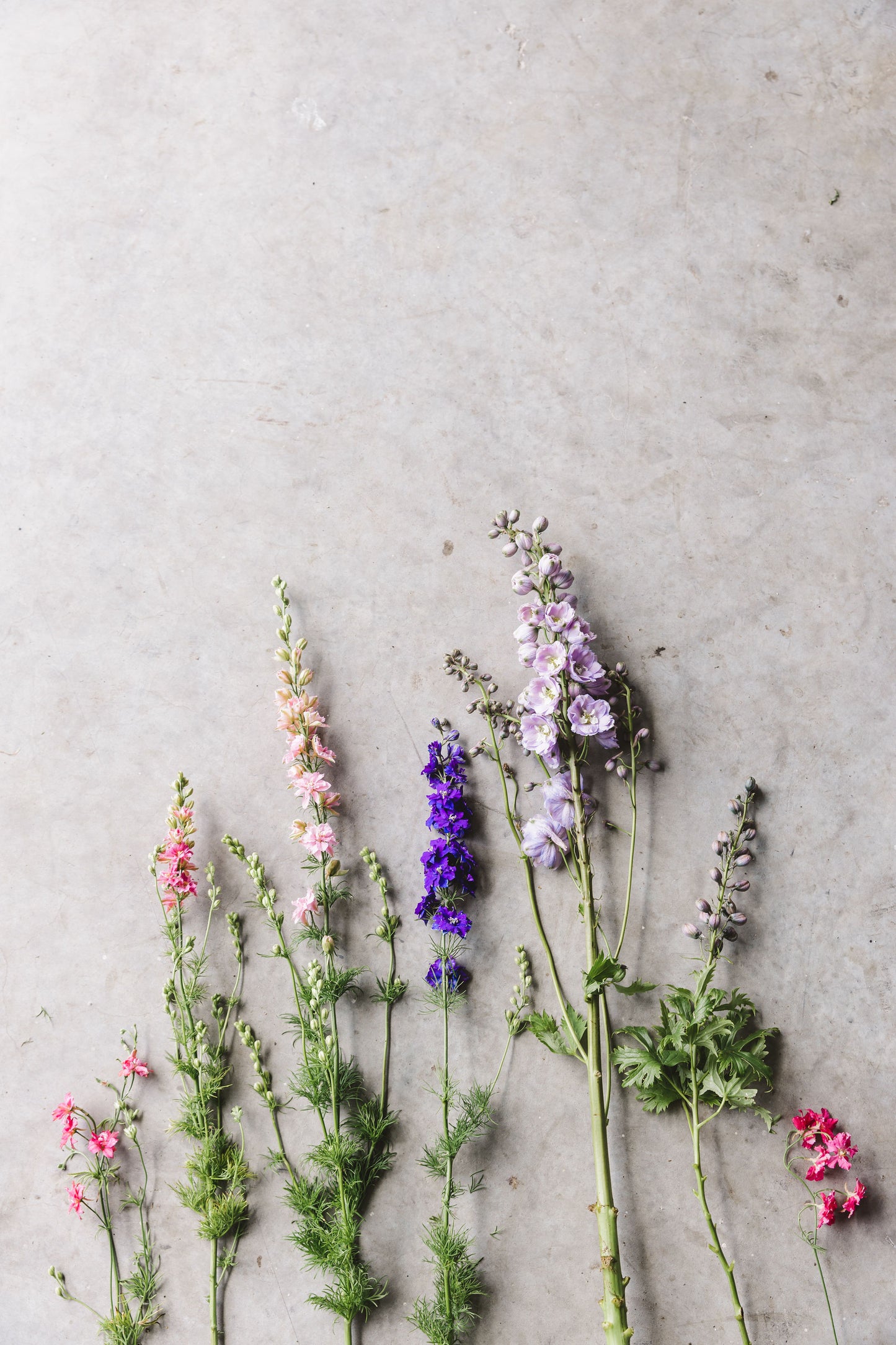 Winter Planting Seed Collection