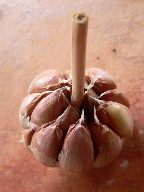 Garlic Bulbs (2)