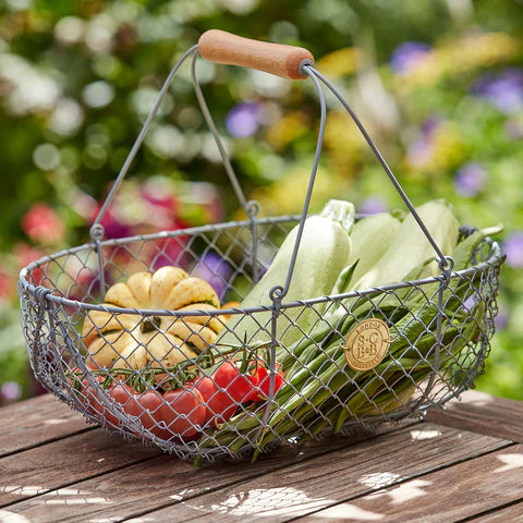 Harvesting Basket