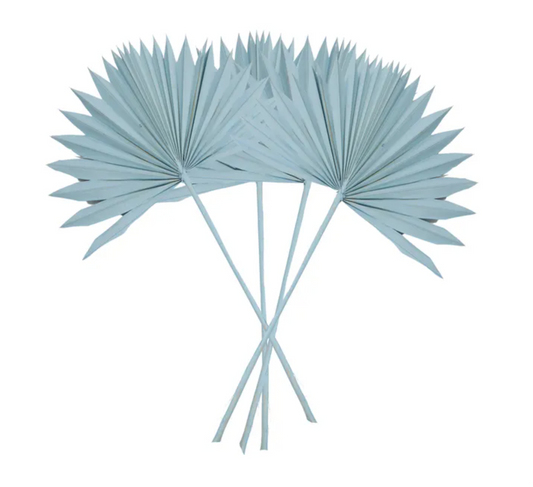 Sun Spear Palm Dried 4 Pieces - Light Blue